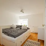 Schneifel